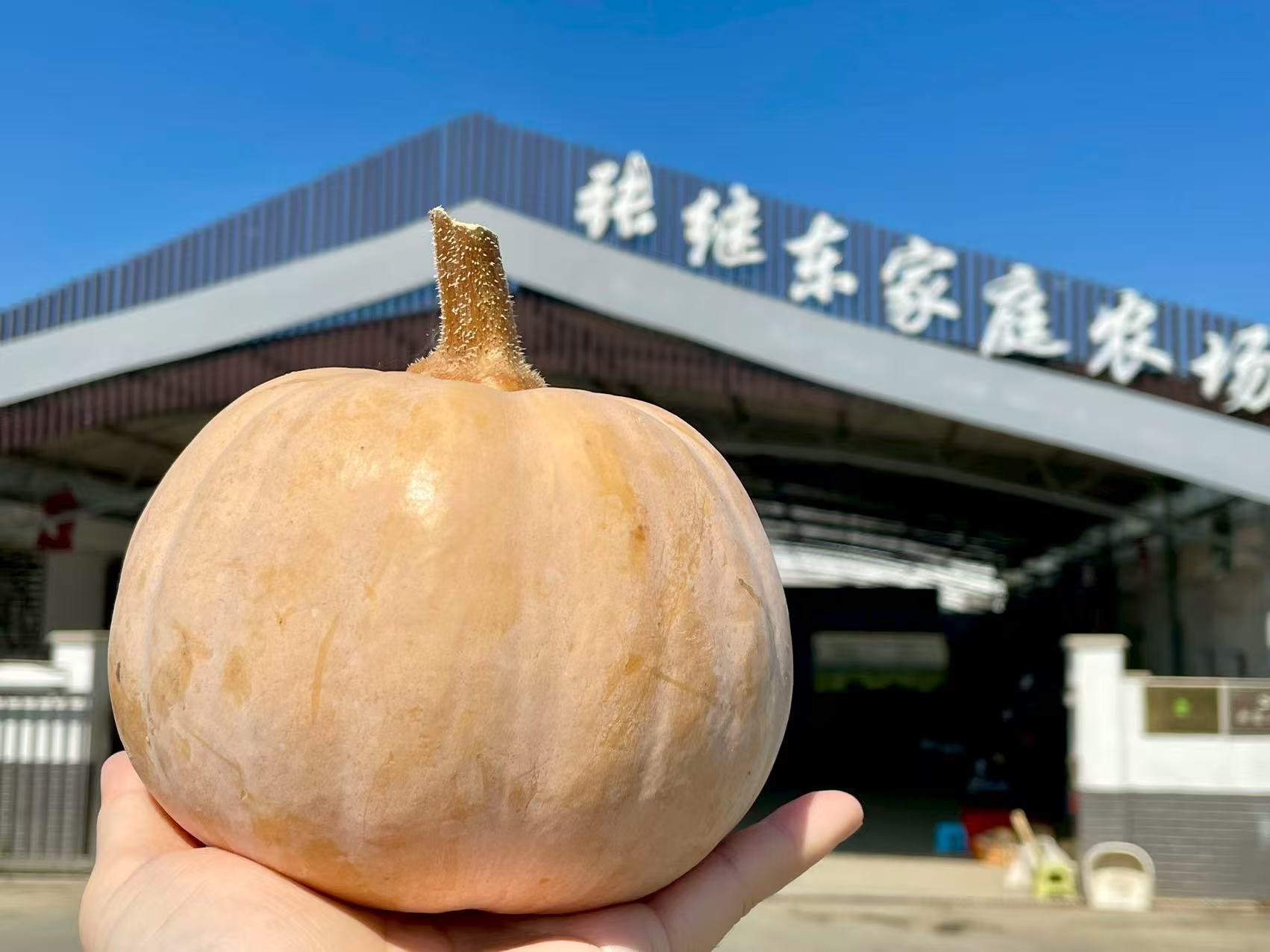 微信圖片_20250818162058_48.jpg