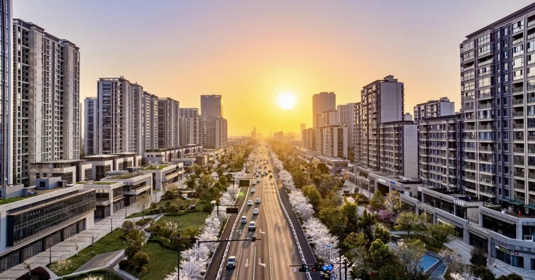 15754856736836.jpeg 圖片