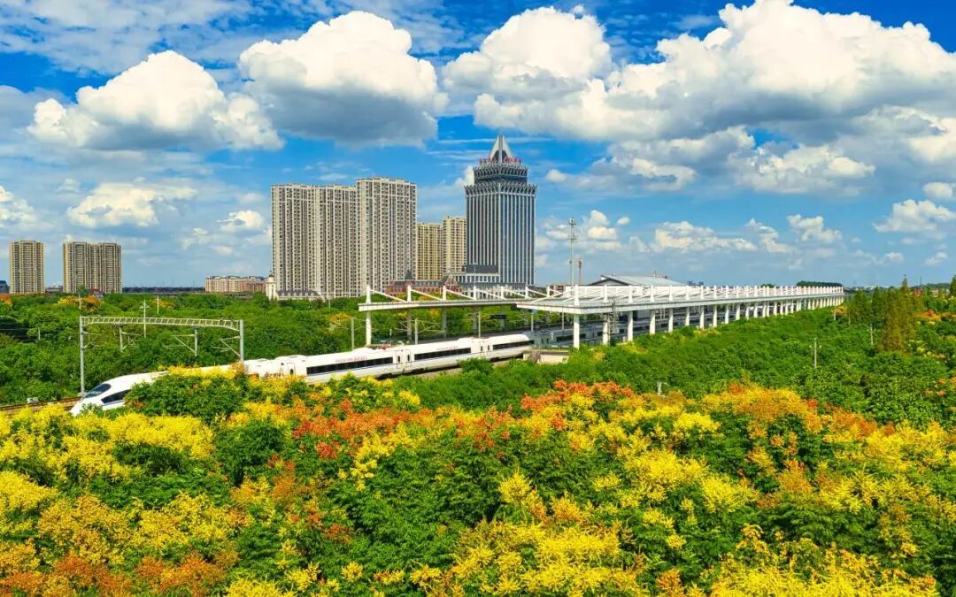 15841633347333.jpeg 圖片