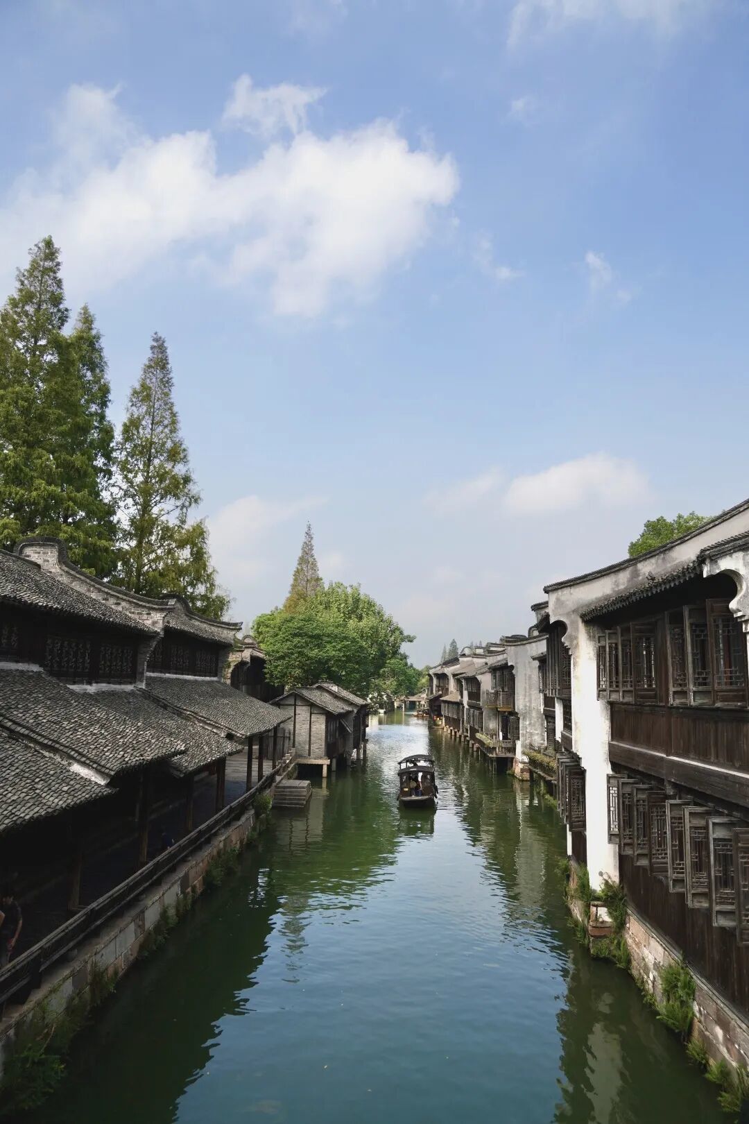 15841633434704.jpeg 圖片