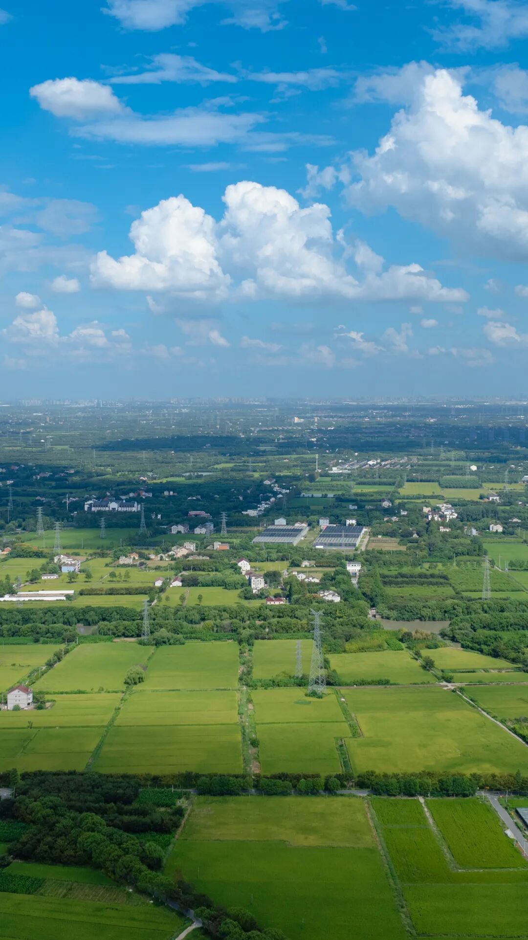 15841633526853.jpeg 圖片