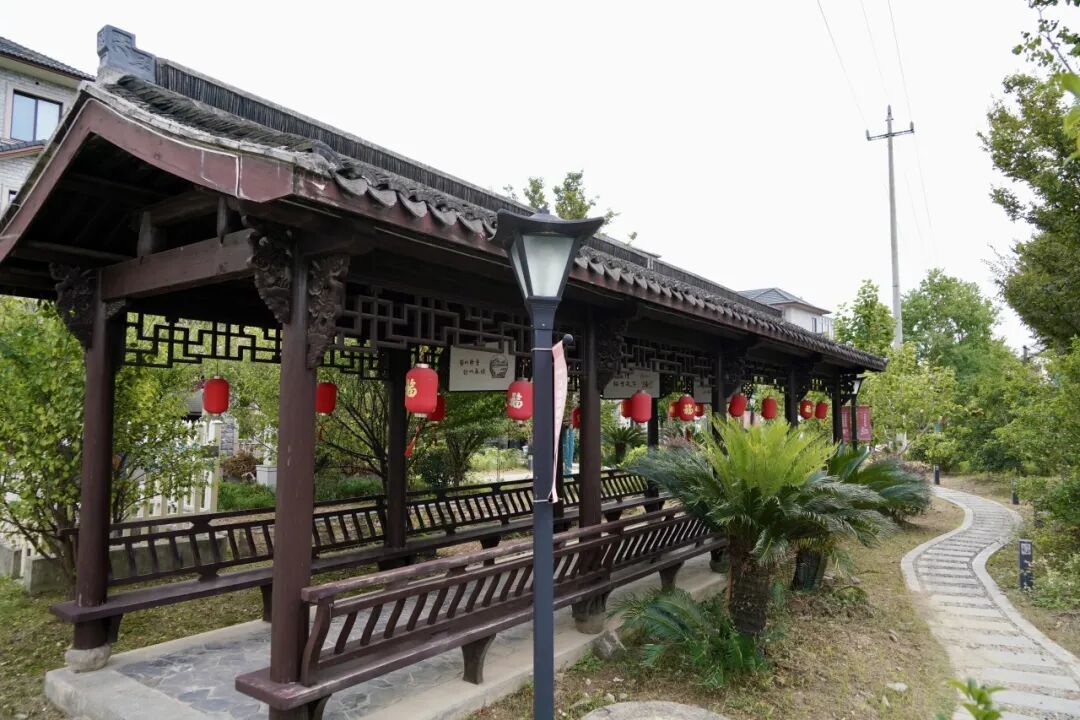 15978841446416.jpeg 圖片