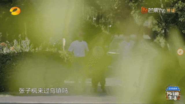 15796980415942.gif 圖片