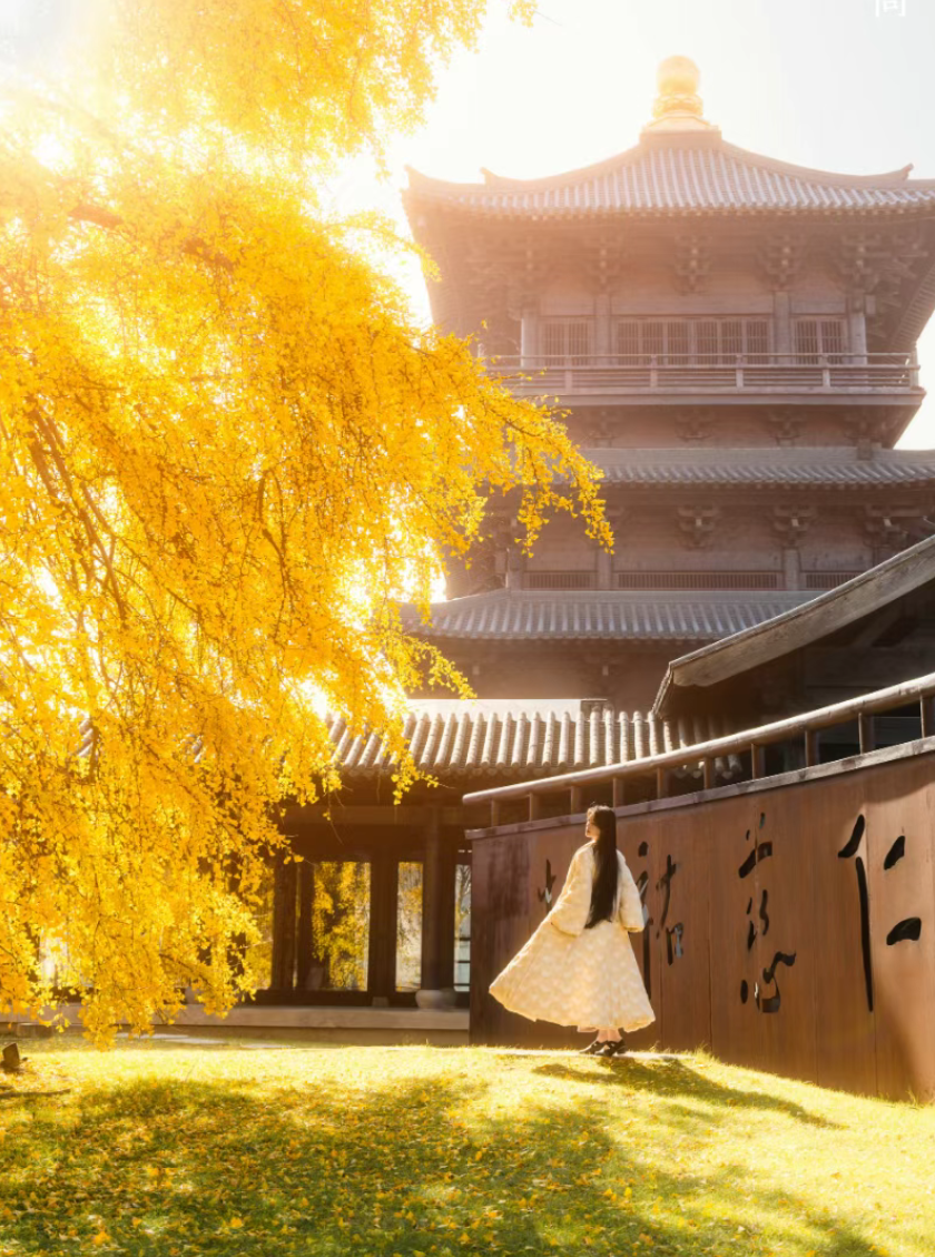 15959178174084.png 圖片